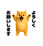 動く！おデブな柴犬（個別スタンプ：1）