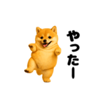 動く！おデブな柴犬（個別スタンプ：6）