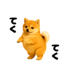 動く！おデブな柴犬（個別スタンプ：8）