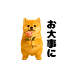 動く！おデブな柴犬（個別スタンプ：14）