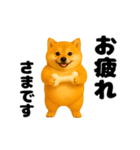 動く！おデブな柴犬（個別スタンプ：19）