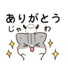 徳島弁＆阿波弁のサバトラ猫とシマエナガ（個別スタンプ：6）