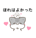 徳島弁＆阿波弁のサバトラ猫とシマエナガ（個別スタンプ：19）