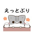 徳島弁＆阿波弁のサバトラ猫とシマエナガ（個別スタンプ：20）
