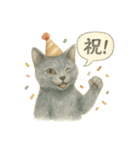 夏を彩る人気猫の水彩スタンプ（個別スタンプ：5）