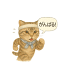 夏を彩る人気猫の水彩スタンプ（個別スタンプ：16）