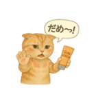 夏を彩る人気猫の水彩スタンプ（個別スタンプ：19）