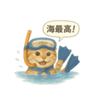 夏を彩る人気猫の水彩スタンプ（個別スタンプ：31）
