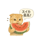 夏を彩る人気猫の水彩スタンプ（個別スタンプ：33）