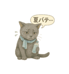 夏を彩る人気猫の水彩スタンプ（個別スタンプ：37）