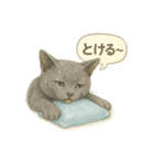 夏を彩る人気猫の水彩スタンプ（個別スタンプ：38）