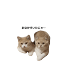 フウリン（個別スタンプ：1）