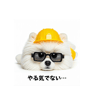 ぐでだるポメラニアン⭐年末年始(再販)（個別スタンプ：1）