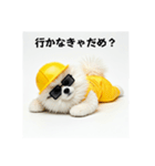 ぐでだるポメラニアン⭐年末年始(再販)（個別スタンプ：6）
