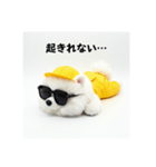 ぐでだるポメラニアン⭐年末年始(再販)（個別スタンプ：9）