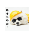 ぐでだるポメラニアン⭐年末年始(再販)（個別スタンプ：12）