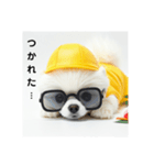 ぐでだるポメラニアン⭐年末年始(再販)（個別スタンプ：14）