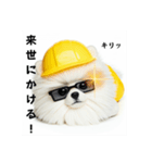 ぐでだるポメラニアン⭐年末年始(再販)（個別スタンプ：28）