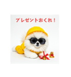 ぐでだるポメラニアン⭐年末年始(再販)（個別スタンプ：30）
