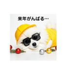 ぐでだるポメラニアン⭐年末年始(再販)（個別スタンプ：31）