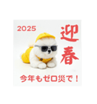 ぐでだるポメラニアン⭐年末年始(再販)（個別スタンプ：33）