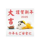 ぐでだるポメラニアン⭐年末年始(再販)（個別スタンプ：34）
