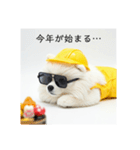 ぐでだるポメラニアン⭐年末年始(再販)（個別スタンプ：37）