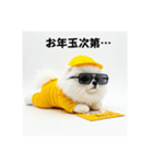 ぐでだるポメラニアン⭐年末年始(再販)（個別スタンプ：39）