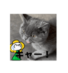 暴力花（個別スタンプ：6）