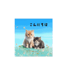 猫であいさつ2（個別スタンプ：1）