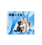 猫であいさつ2（個別スタンプ：7）