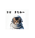 猫であいさつ2（個別スタンプ：11）