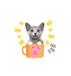 ロシブル♀️こいちゃんスタンプ❣️（個別スタンプ：12）