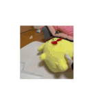 動く！チキンチママ（個別スタンプ：4）