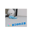 動くMint♡♡♡（個別スタンプ：1）