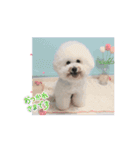 動くMint♡♡♡（個別スタンプ：2）
