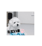 動くMint♡♡♡（個別スタンプ：3）