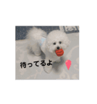 動くMint♡♡♡（個別スタンプ：4）