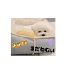 動くMint♡♡♡（個別スタンプ：5）