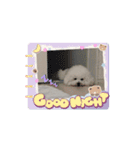 動くMint♡♡♡（個別スタンプ：6）