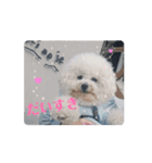 動くMint♡♡♡（個別スタンプ：7）
