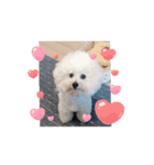 動くMint♡♡♡（個別スタンプ：8）