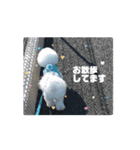 動くMint♡♡♡（個別スタンプ：10）