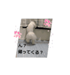 動くMint♡♡♡（個別スタンプ：16）