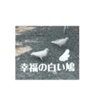 日常挨拶カテゴリー（個別スタンプ：8）