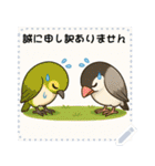 ことりの小鳥たちがメッセージを届けるよ（個別スタンプ：24）