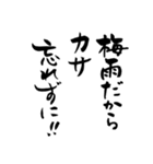 筆文字で梅雨あるある(洗濯物/ゲリラ豪雨)（個別スタンプ：11）