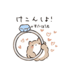 もふポメラニアン2 / 甘えんぼ（個別スタンプ：31）