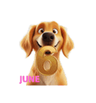 6月に使える3D犬（個別スタンプ：6）
