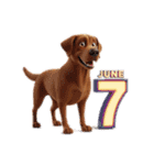 6月に使える3D犬（個別スタンプ：7）